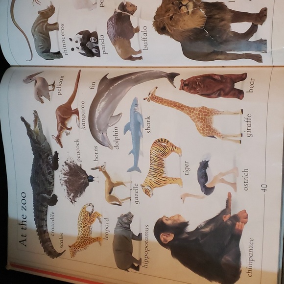 My first word books perfect for older baby and toddlers please read till the end - Picture 5 of 9